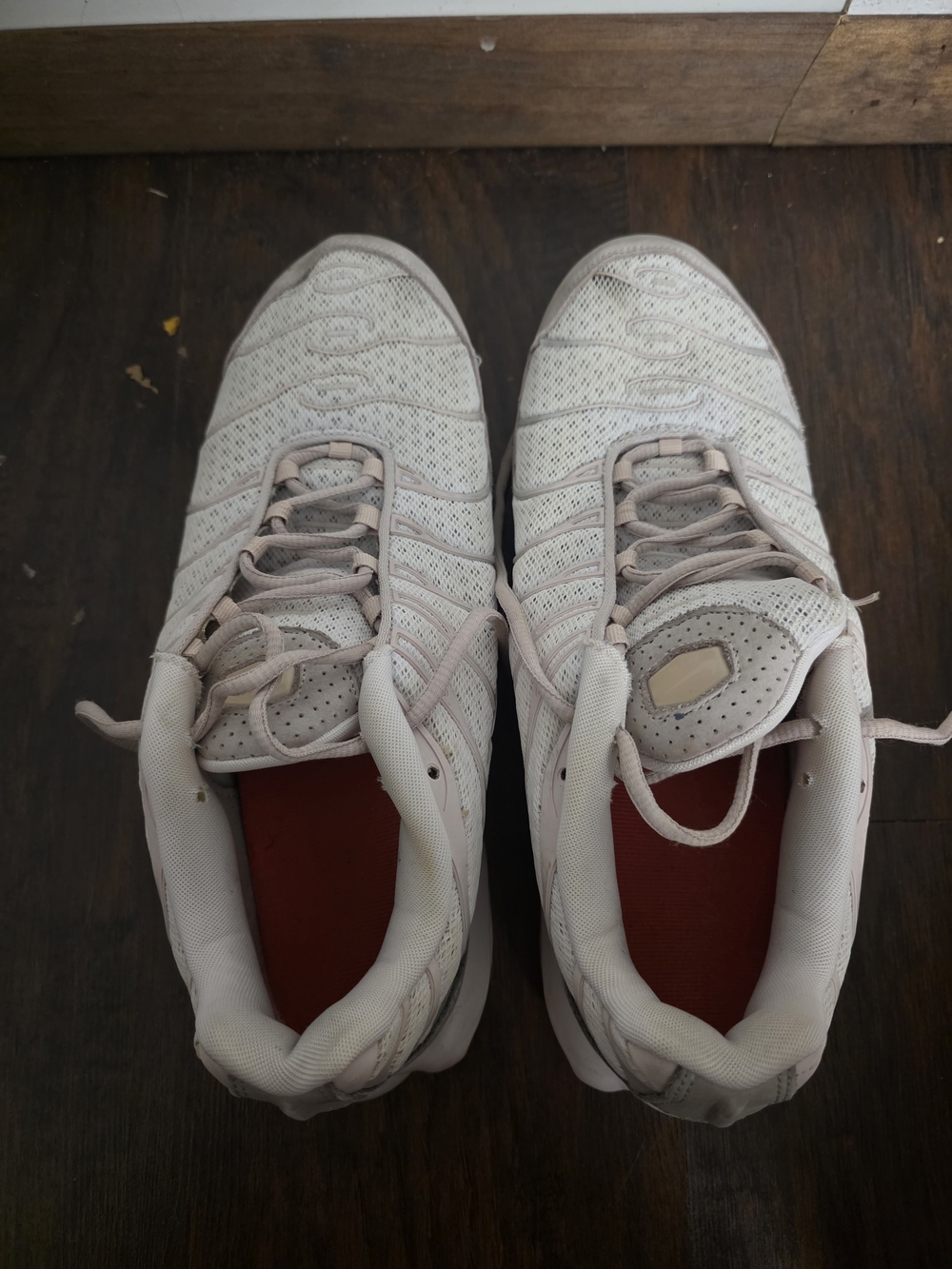 Size 12.5 - Nike Air Max Plus TN SE Pale Pink